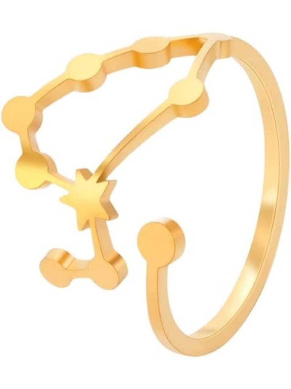 Leo Gold Adjustable Zodiac Sign Constellation Stainless Steel Ring